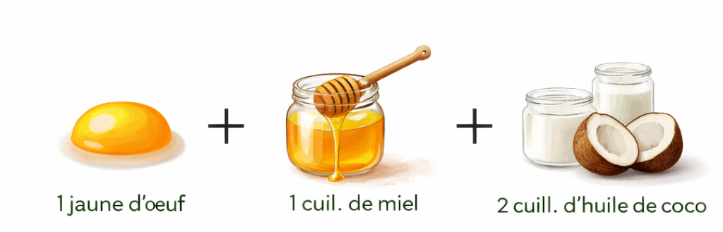 masque maison cheveux abîmés à l'œuf et huile de coco